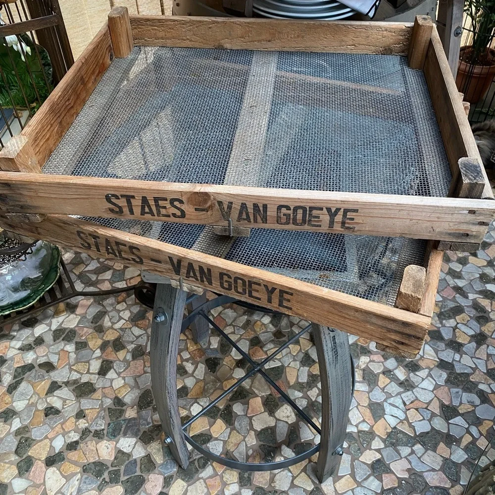NWT Pottery Barn Vintage Bulb Trays